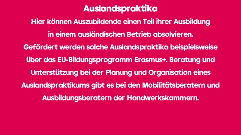 Auslandspraktika