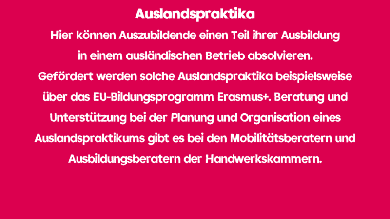 Auslandspraktika